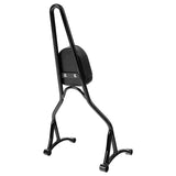 Air Wing Sissy Bar Upright Fit For Harley Sportster XL883 XL1200, 2009-2022
