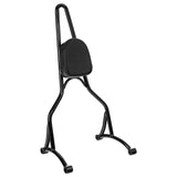 Air Wing Sissy Bar Upright Fit For Harley Sportster XL883 XL1200, 2009-2022
